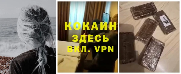 стафф Алзамай