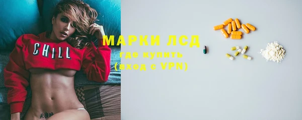 стафф Алзамай