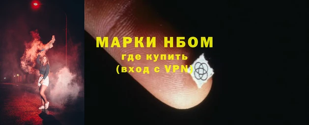 стафф Алзамай